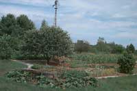 Garden 1998