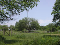 Apple Windmill