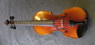 Fretted Violin