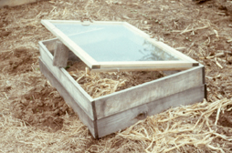 early spring cold frame