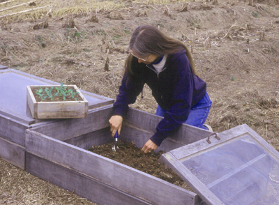 Sue planting in CF