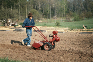 Steve tilling new plot