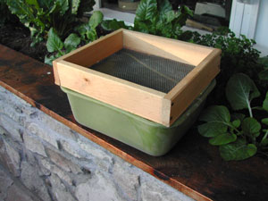 small sifter on tub