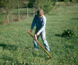 Steve scything