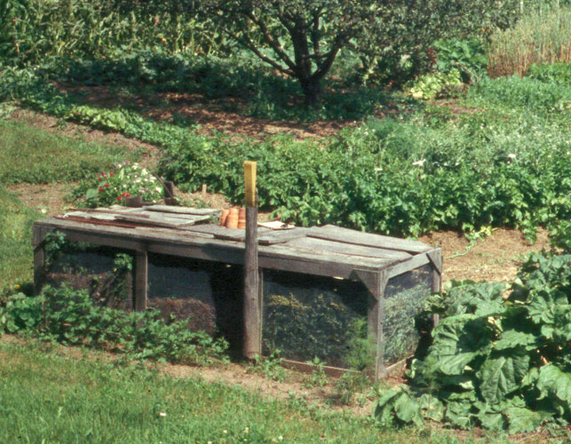 compost bin in garden