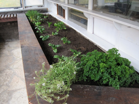 greenhouse bed October