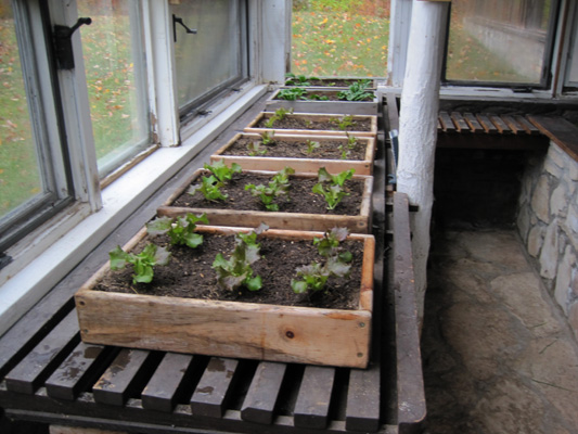 greenhouse bench October