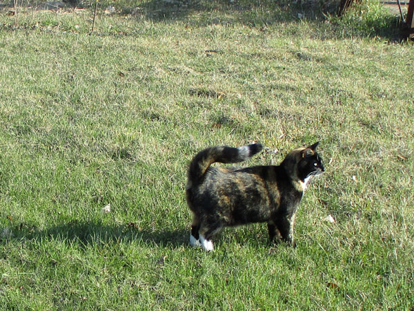 LilliB in garden