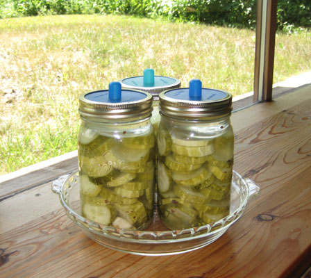ferment pickles