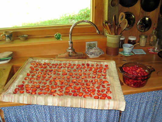 strawberries to dry and sauce