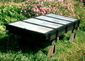 solar food dryer