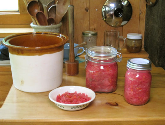 red kraut in jars