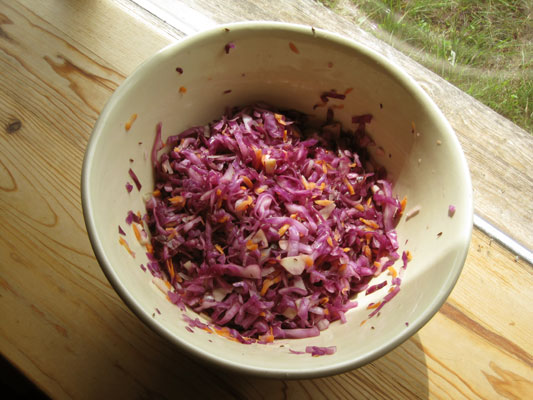 red kraut mixed