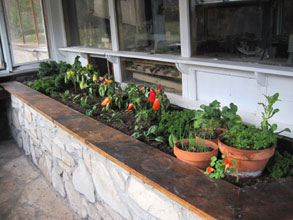 greenhouse bed Oct.