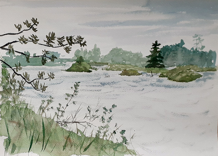 watercolor sketch Seney Refuge Aug 2003