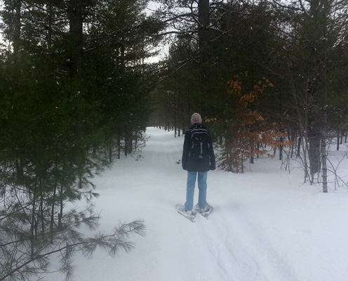 hiking Ashford Lake trails in February