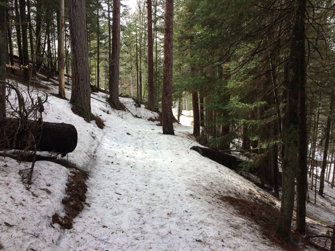 slushy Days River Pathway 4-5-22