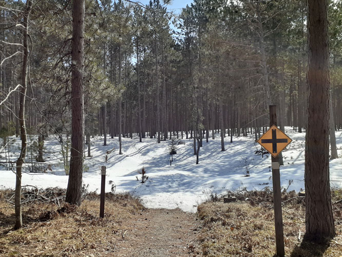 cross road at Days River Pathway 3-29-22