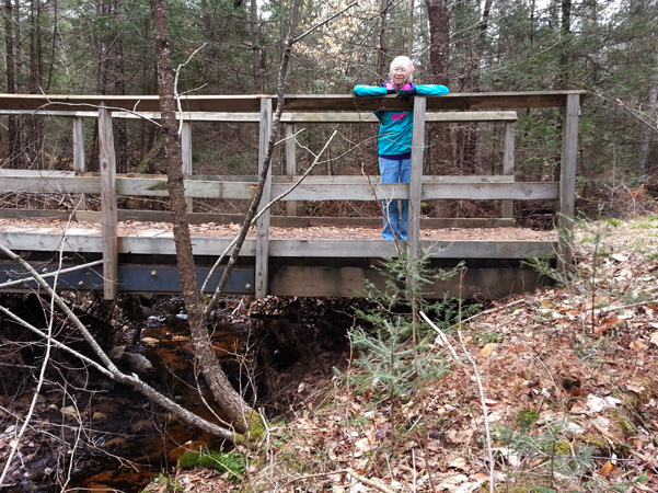 admiring creek from bridge at Days River Pathway