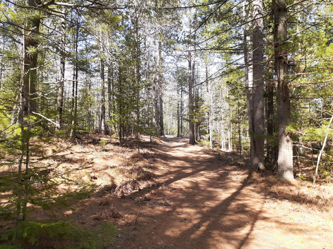 snow/ice gone at Days River Pathway May 4