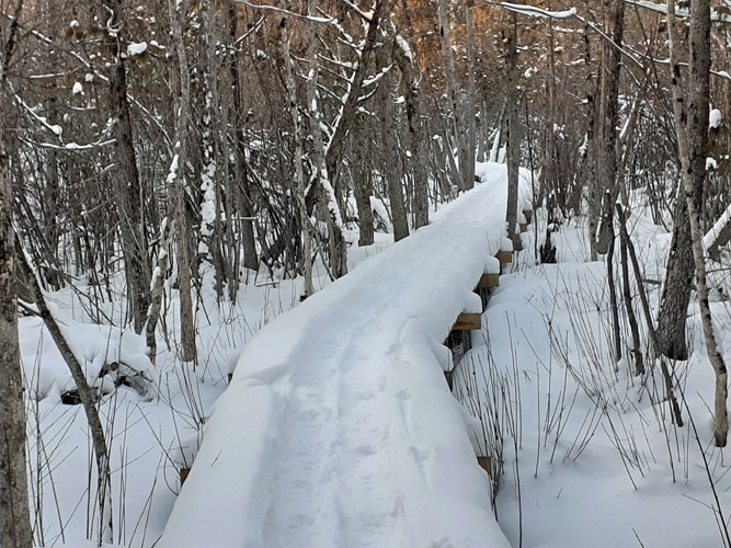 boardwalk in snow at Escanaba Pathway