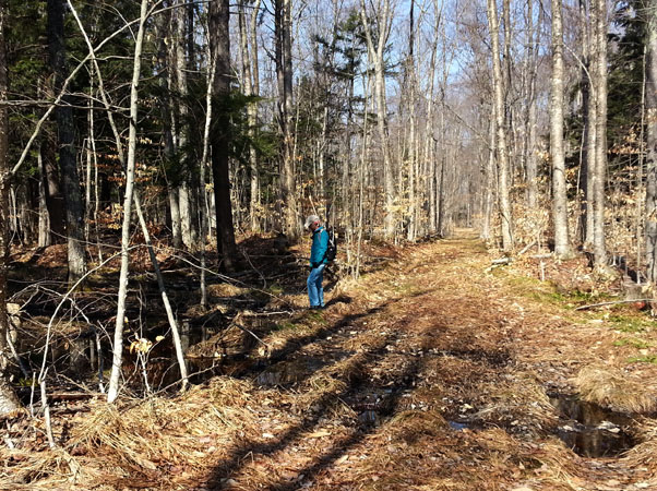 Indian Lake Pathway boggy first loop April