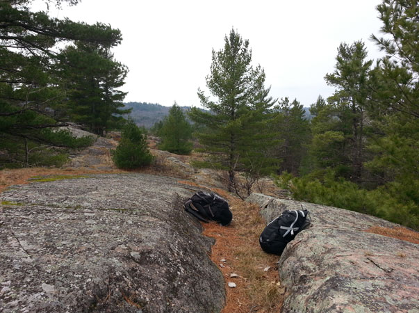 high smooth rocks toward Hogback NCT