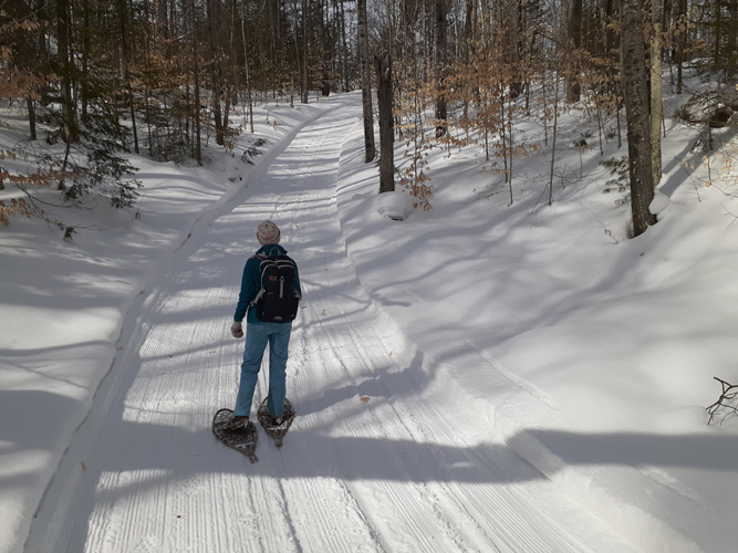 McKeever Hills C Loop, sue on hill, March 4, 2022