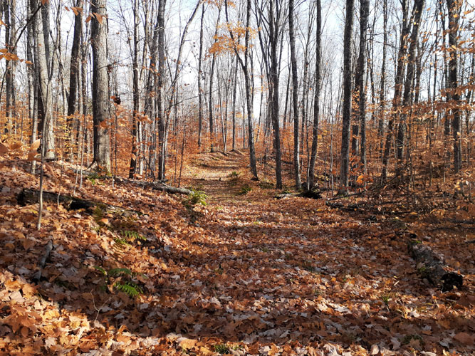 McKeever Hills Trail October 29, 2022