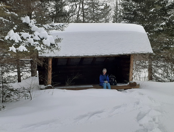 Pine Marten Pathway NE shelter