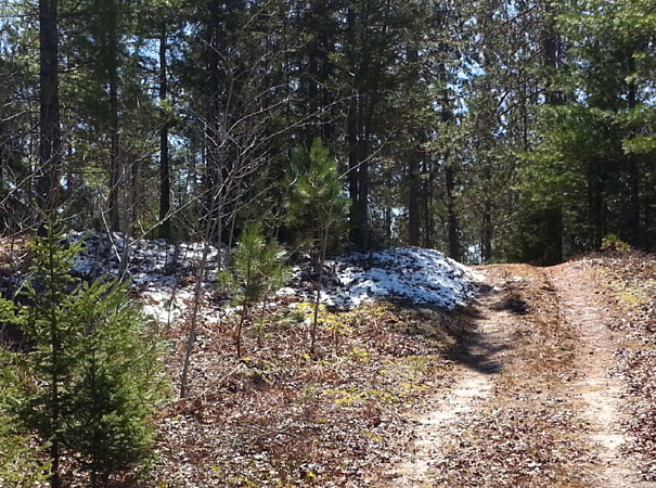 April snow Rapid River Ski Trail