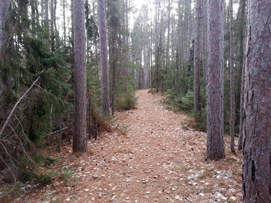 Rapid River Ski trail B