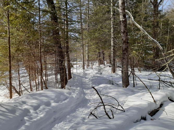 Days River Nature Trail February snow