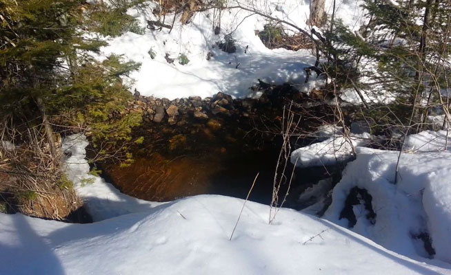 creek on snowmobile trail at Days River Pathway