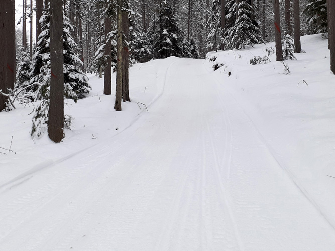 snowmobile trail #2 by Days River Dec. 30