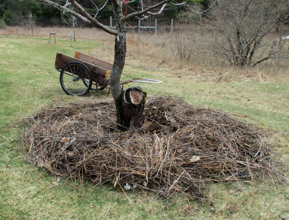 next layer of mulch for mushroom bed - straw & chips