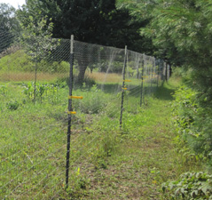 garden orchard fence